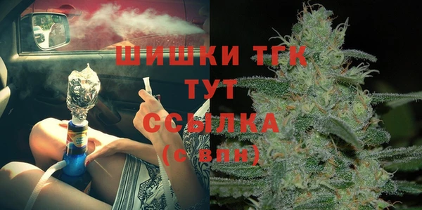 таблы Богородицк