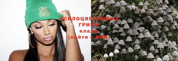 метамфетамин Богданович