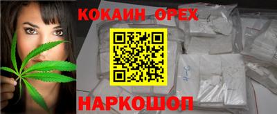 бошки Гатчина