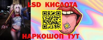 бошки Гатчина
