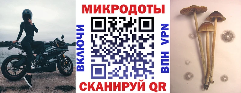 Галлюциногенные грибы ЛСД  Губкинский 