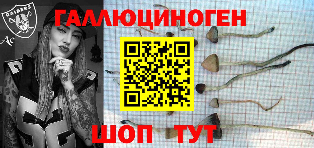 Губкинский  Галлюциногенные грибы ЛСД  Вход с VPN 
