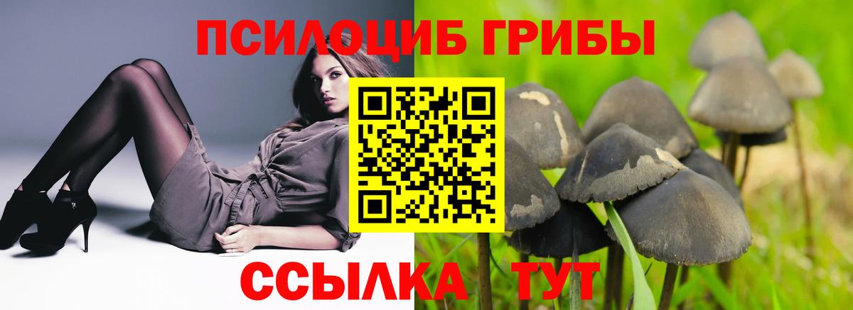 Псилоцибиновые грибы MAGIC MUSHROOMS Губкинский